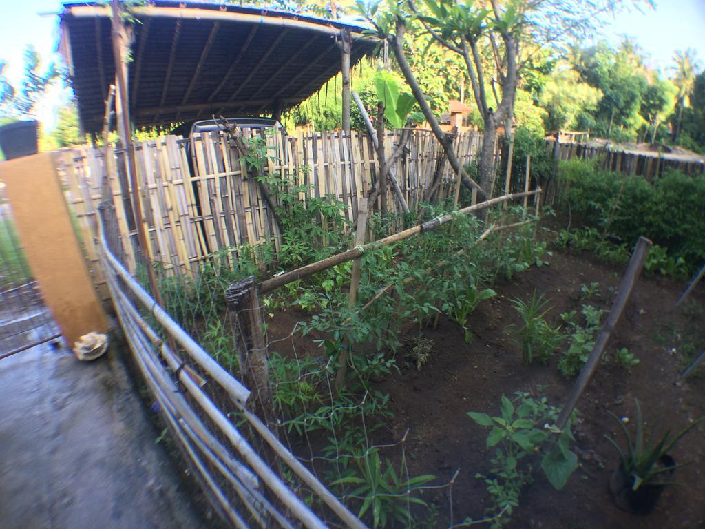 Jeges Homestay Senggigi Dış mekan fotoğraf